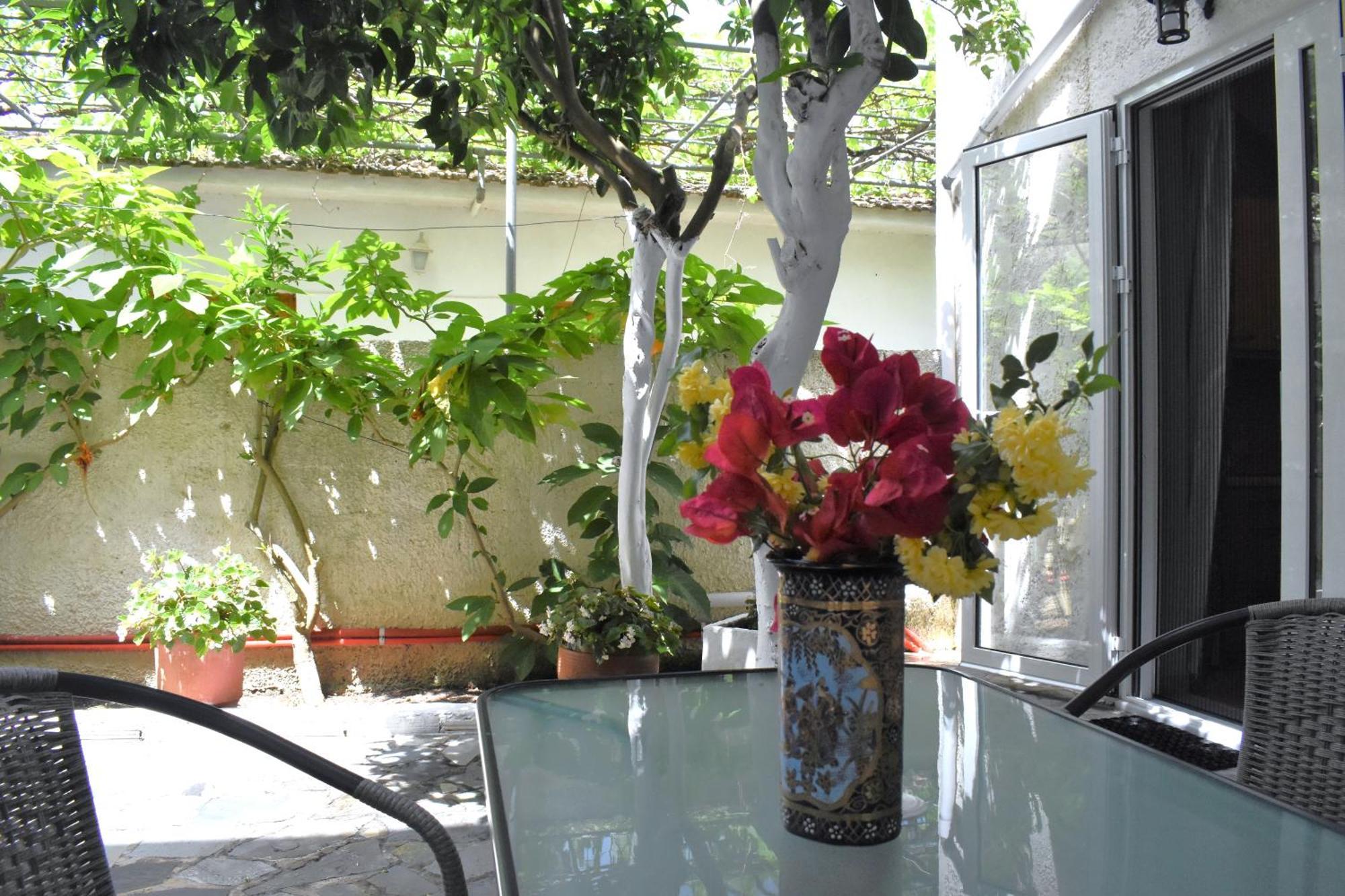 Starvillas Apartments And Studios Agia Efimia Extérieur photo